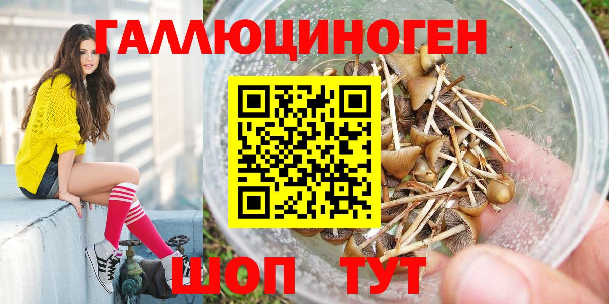 Псилоцибиновые грибы мицелий Богородск