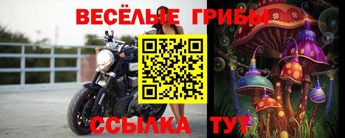Богородск  Галлюциногенные грибы Psilocybe  Вход с VPN  Псилоцибиновые грибы ЛСД 